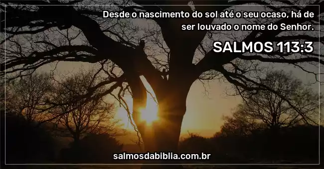 Salmos 113:3 Desde o nascer até o pôr do sol, que o nome do SENHOR