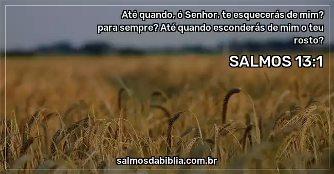 Até quando te esquecerás de mim, SENHOR? Para sempre? Até quando esconderás  de mim o teu rosto? Salmos 13:1 Bom dia!🙌😊 #adventistas #meditacao  #iasd, By Adventistas Leste Mato Grosso