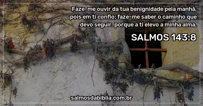 1 de agosto de 2023 - Versículo da Bíblia do dia - Salmo 143:8 