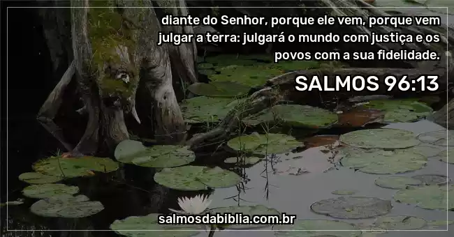 diante do Senhor, porque ele vem, porque vem julgar a terra: julgará o mundo com justiça e os povos com a sua fidelidade.